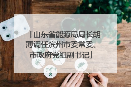 山东省能源局局长胡薄调任滨州市委常委、市政府党组副书记